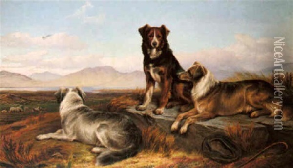 Guardians Of The Flock Oil Painting - Charles Jones