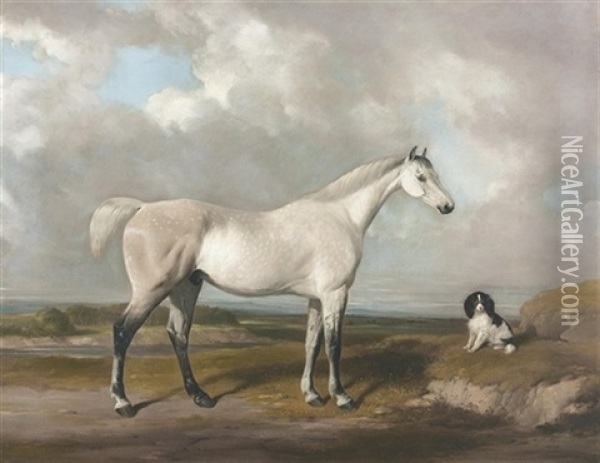 The Grey Hunter Oil Painting - William Barraud