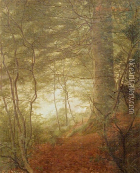 Woodlands Oil Painting - Rene Stevens
