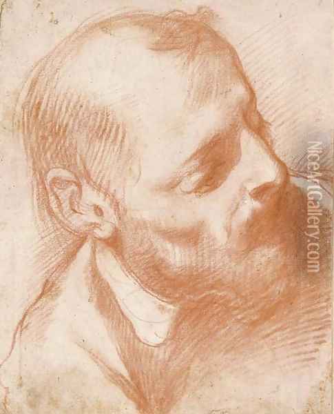 Head of a bearded man turned to the right Oil Painting - Florentine School