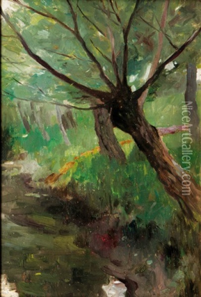 Willows By The Creek Oil Painting - Thomas Herbst