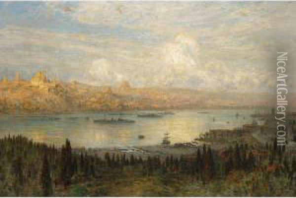 The Golden Horn, From Tepebasi Looking At The Beyazit Tower And Sulemymaniye Mosque Oil Painting - Ernst Carl Eugen Koerner