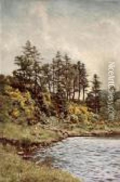 Broomie Braes, Banks Of The Lyon Oil Painting - Duncan Cameron