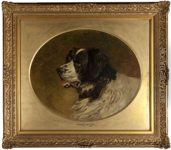 Portrait Of A St. Bernard Oil Painting - Charles Grey