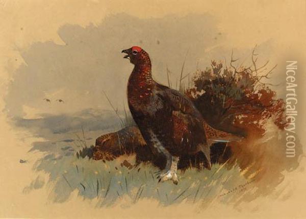A Pair Of Red Grouse Among Heather Oil Painting - Archibald Thorburn