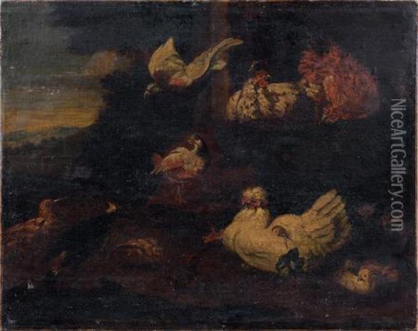 Scene De Basse-cour Oil Painting - Melchior de Hondecoeter