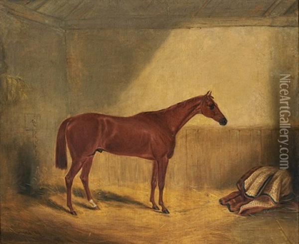 A Bay Horse Oil Painting - William Brocas