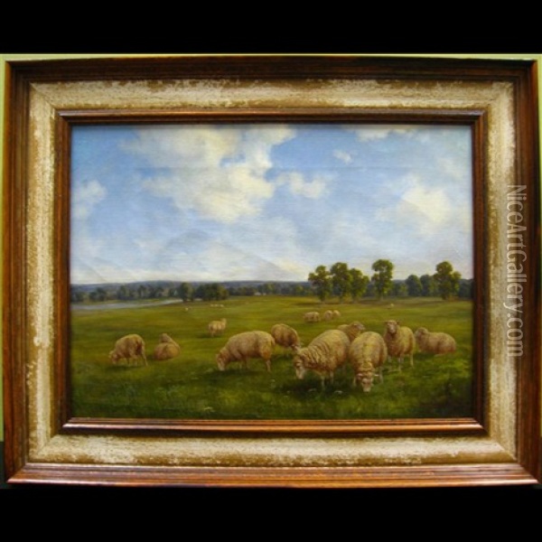 Grazing Sheep Oil Painting - Henry Harold Vickers