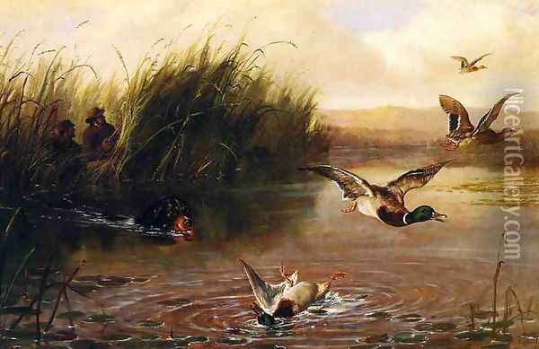 Duck Shooting Oil Painting - Arthur Fitzwilliam Tait