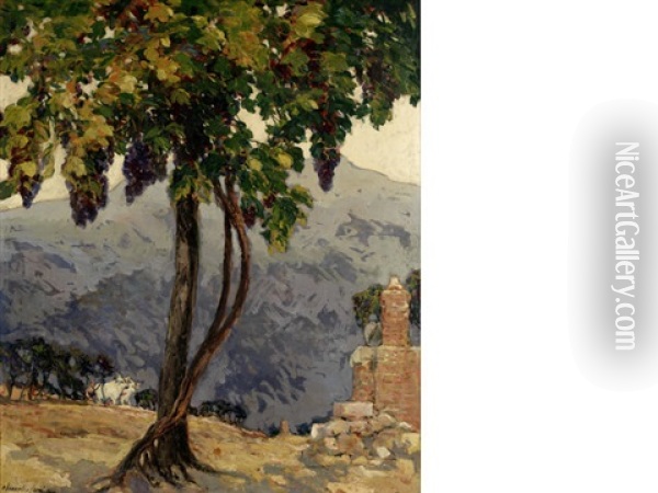 The Old Vine, San Giminiano, Italy Oil Painting - Alexander Jamieson