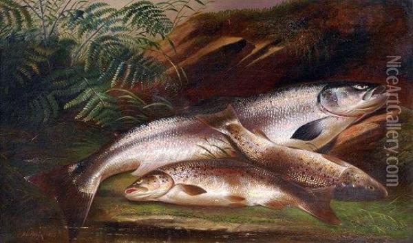 Still Life Of Salmon And Brown Trout On A Riverbank Oil Painting - Henry Leonidas Rolfe