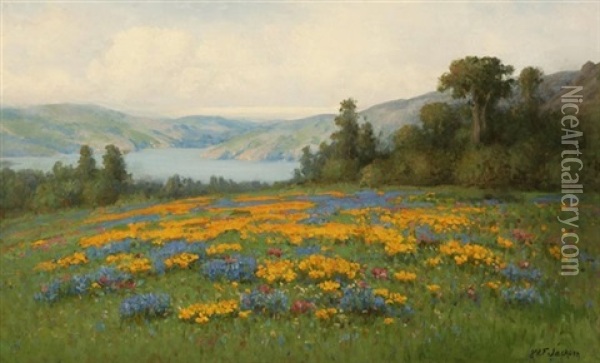Poppies And Lupine Landscape Oil Painting - William Franklin Jackson