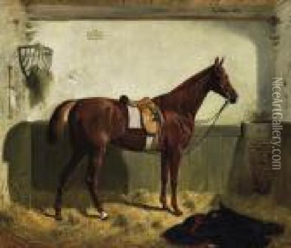 Horse Portrait. Oil Painting - Emil Volkers