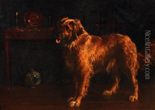 Wendy, Study Of A Retriever Dog In A Domestic Interior Oil Painting - Percy Thomas Macquoid