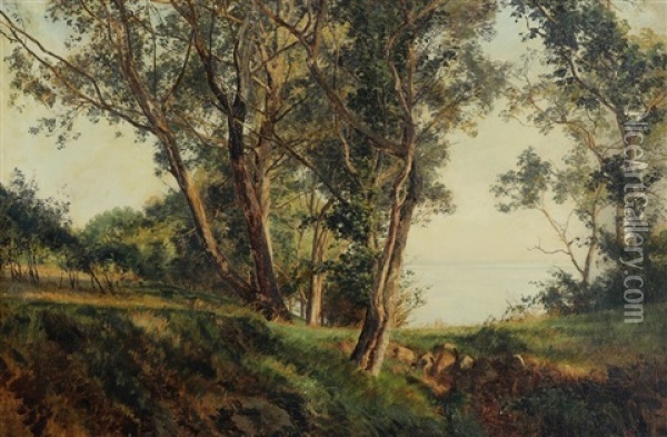 A Coastal Scene Oil Painting - Janus la Cour