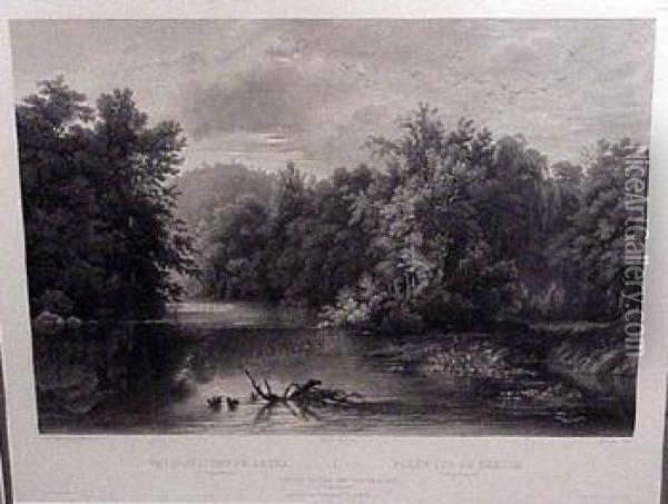 Forest Scene On The Lehigh Oil Painting - Karl Bodmer