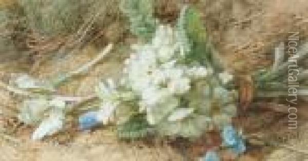 Bunched Primulas Oil Painting - Annie Feray Mutrie