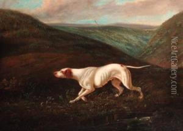 A Pointer On The Scent Oil Painting - David of York Dalby