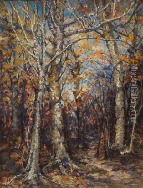 Forest Interior Oil Painting - Mary Ella Dignam