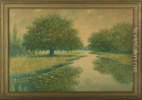 Oak And Cypress Trees Along The Louisiana Bayou Oil Painting - Alexander John Drysdale