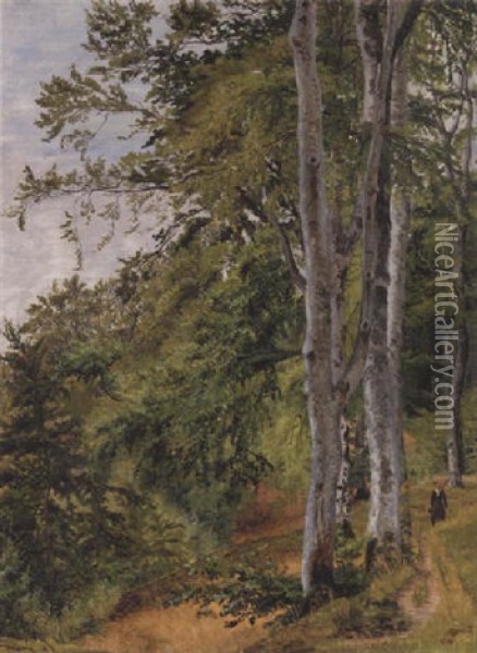 Slanke Bogetraeer I Skoven Oil Painting - Vilhelm Peter Karl Kyhn