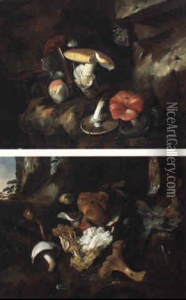 Natures Mortes De Sous-bois Aux Champignons Oil Painting - Otto Marseus van Schrieck