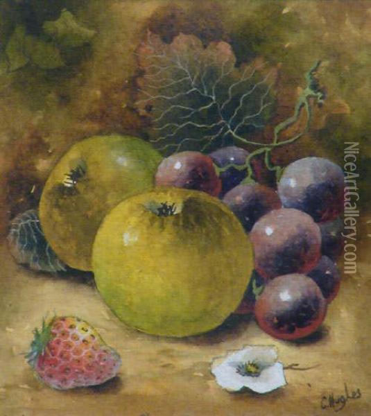 Still Life Fruit Oil Painting - Christopher Hughes