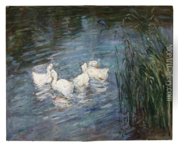 Vier Enten Auf Dem Schwielowsee Bei Baumgartenbruck Oil Painting - Emil Pottner