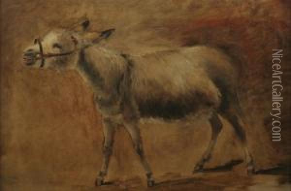 Schreiender Esel Oil Painting - John Cheltenham Wake
