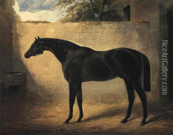 Mr. Thomas Parr's Bay Colt Fisherman In A Yard Oil Painting - Henry Barraud