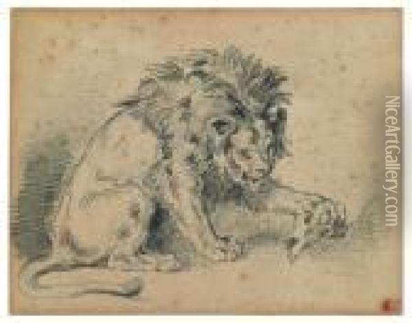 Liondepouillant Un Crane De Gazelle Oil Painting - Eugene Delacroix