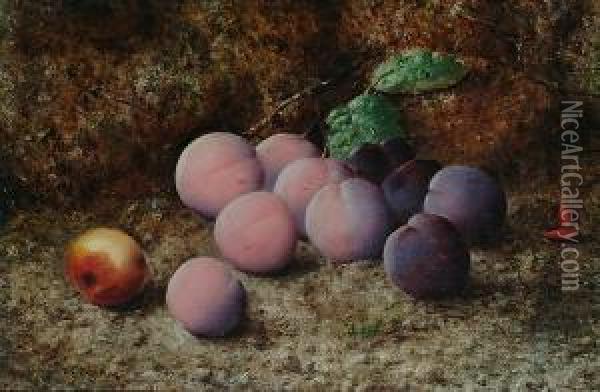 Still Life Of Plums On A Mossy Bank Oil Painting - William Henry Starkey