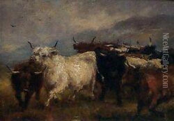 Highland Cattle In A Mountain Landscape Oil Painting - Robert Sanderson