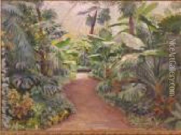 Vegetation Luxuriante Dans La Serre Oil Painting - Hugo Charlemont