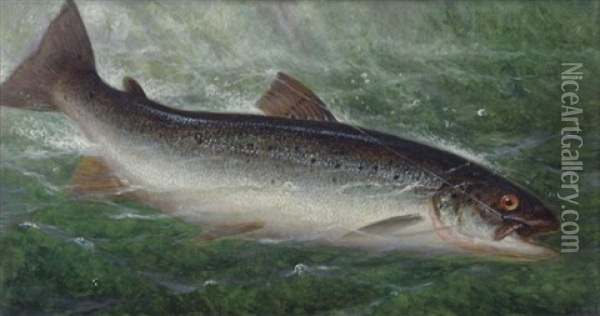 Fish Oil Painting - William de la Montagne Cary