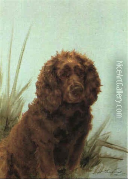 Scarab, A Sussex Spaniel Oil Painting - Maud Earl