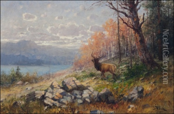 Elk In Fall Landscape Oil Painting - John Fery
