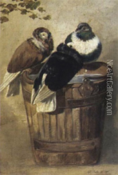 Tauben Auf Einem Wasserfas Sitzend Oil Painting - Rudolf Friedrich Jahn