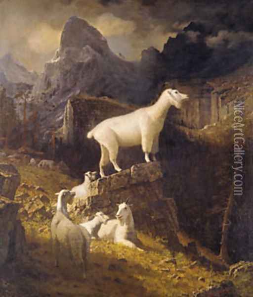 Rocky Mountain Goats Oil Painting - Albert Bierstadt