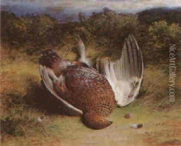 A Dead Grouse Oil Painting - Abel Hold