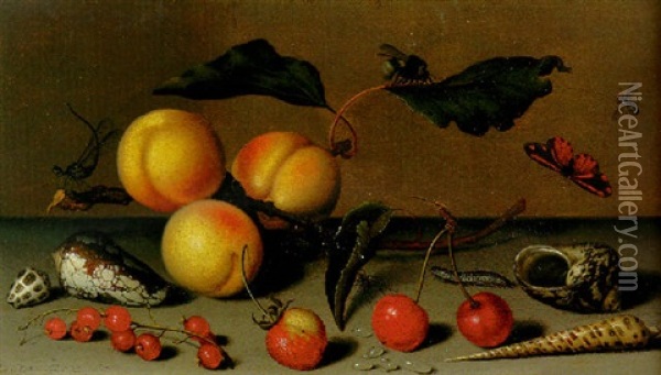 Apricots On A Stalk, Cherries, A Wild Strawberry And Other Fruit, A Butterfly, A Spider, A Bee And Other Insects On A Ledge Oil Painting - Balthasar Van Der Ast