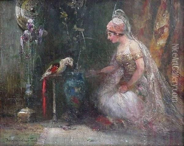 Interior Scene With Parrot- Oil Painting - Douglas Arthur Teed