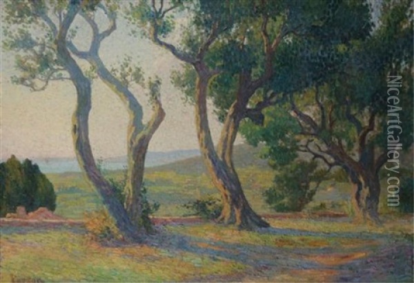 Olive Trees In The Morning Oil Painting - Henri Person