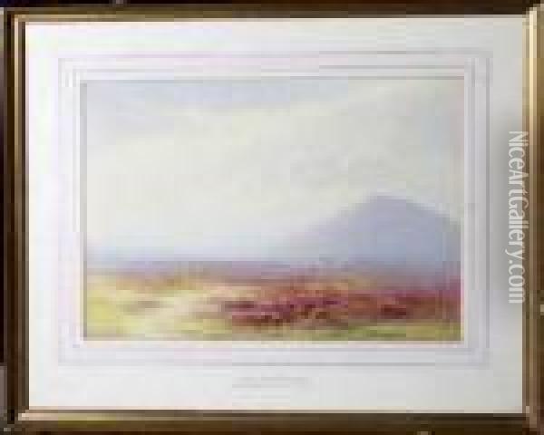Moors Above Brodick Oil Painting - Charles Edward Ii Brittan