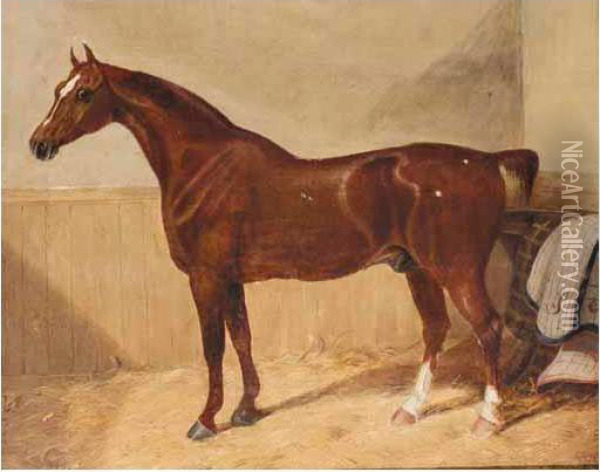 Hunter In Stable Oil Painting - Edwin M. Fox