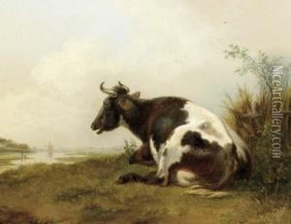 A Cow Resting In A Meadow Oil Painting - Pieter Gerardus Van Os