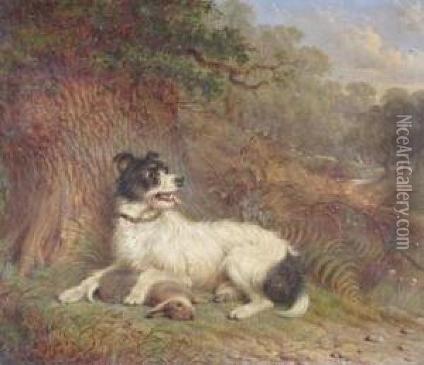 Hunting Dog And Rabbit Oil Painting - Martin Theodore Ward