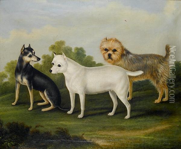 Three Terriers Oil Painting - John Clark