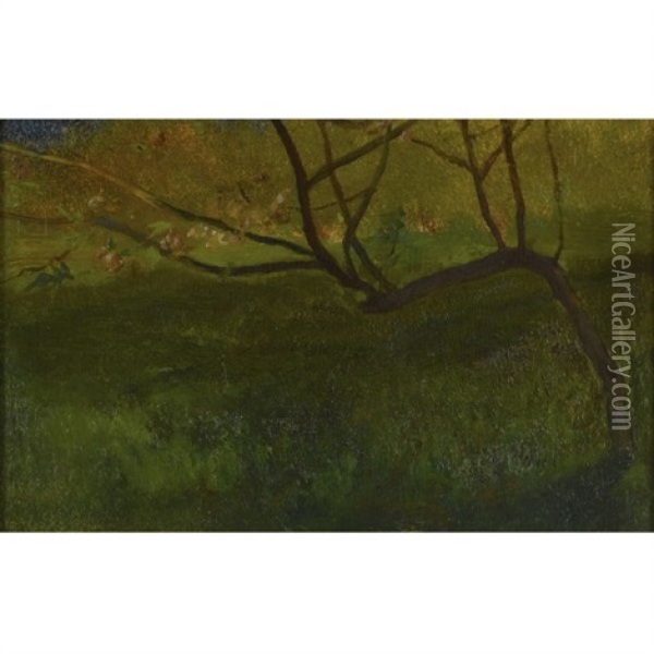 Apple Tree, Spring (study) Oil Painting - John La Farge