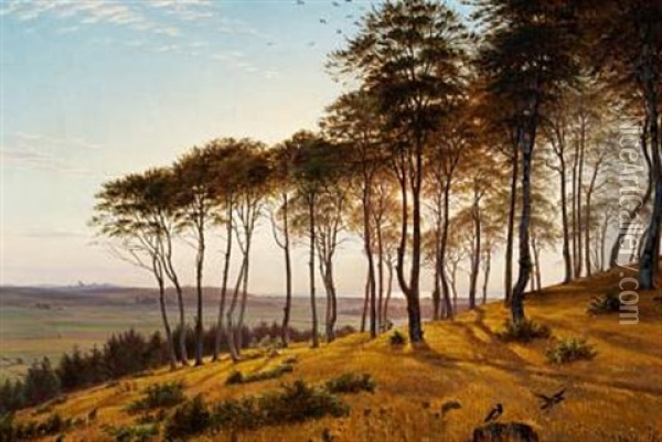 Sunshine Through The Trees, Vinderod Forest Oil Painting - Anton (Claus) Kolle